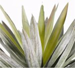 Copac artificial Yucca - 75 cm