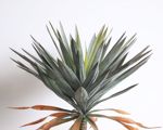 Copac artificial Yucca - 75 cm