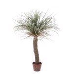 Copac artificial Yucca Wild - 110 cm