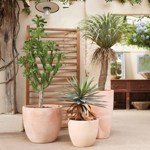 Copac artificial Yucca Wild - 150 cm
