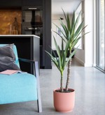 Copac artificial Yucca Wild x2 - 110 cm