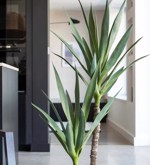 Copac artificial Yucca Wild x2 - 110 cm