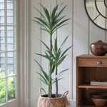 Copac artificial Yucca Wild x3 - 150 cm
