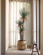 Copac artificial Yucca Wild x3 - 180 cm