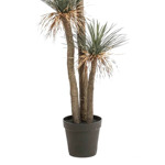Copac artificial Yucca Wild x3 - 180 cm