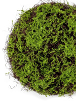 Covor muschi si iarba artificiala verde - 50 cm