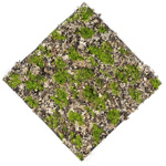 Covor muschi artificiala verde/gri - 50x50 cm