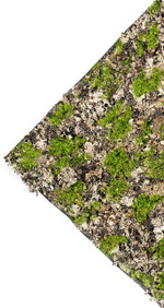Covor muschi artificiala verde/gri - 50x50 cm