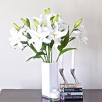 Crin artificial alb - 50 cm