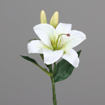 Crin artificial crem - 36 cm