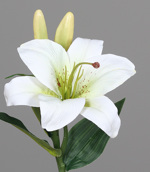 Crin artificial crem - 36 cm