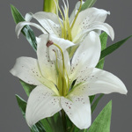 Crin artificial crem - 78 cm