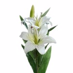 Crin artificial crem - 78 cm