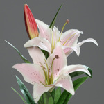 Crin artificial crem-roz - 78 cm