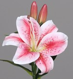 Crin artificial roz-crem - 36 cm