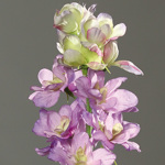 Delphinium / nemtisor artificial mov - 82 cm