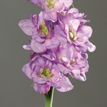 Delphinium / nemtisor artificial mov - 82 cm
