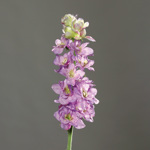 Delphinium / nemtisor artificial mov - 82 cm
