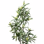 Eucalipt artificial cu flori in ghiveci - 145 cm