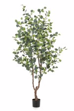 Eucalipt artificial decorativ in ghiveci - 180 cm
