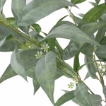 Eucalipt artificial decorativ Globulus in ghiveci - 115 cm