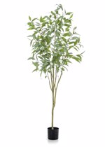 Eucalipt artificial decorativ Globulus in ghiveci - 195 cm