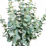 Eucalipt artificial Silver in ghiveci - 80 cm