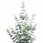Eucalipt artificial verde pudrat in ghiveci - 60 cm