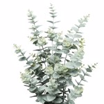 Eucalipt artificial verde pudrat in ghiveci - 65 cm