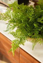 Feriga artificiala decorativa - 40 cm