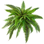 Feriga artificiala decorativa BOSTON - 80 cm