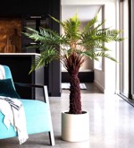 Feriga artificiala decorativa cu ghiveci - 125 cm
