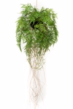 Feriga artificiala decorativa cu sfoara pentru agatat - 35 cm