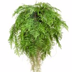 Feriga artificiala decorativa cu sfoara pentru agatat - 80 cm