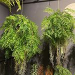 Feriga artificiala decorativa cu sfoara pentru agatat - 80 cm
