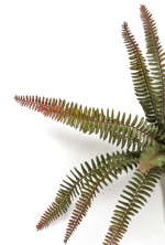 Feriga artificiala decorativa verde/maro - 32 cm