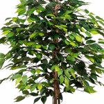 Ficus artificial Benjamina cu trunchi natural - 120 cm