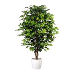 Ficus artificial Benjamina cu trunchi natural - 150 cm