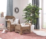 Ficus artificial Benjamina cu trunchi natural - 150 cm