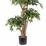 Ficus artificial Benjamina cu trunchi natural - 170 cm