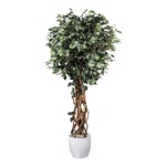 Ficus artificial Benjamina cu trunchi natural - 180 cm
