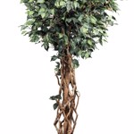 Ficus artificial Benjamina cu trunchi natural - 180 cm