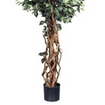 Ficus artificial Benjamina cu trunchi natural - 180 cm
