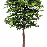 Ficus artificial Benjamina cu trunchi natural - 210 cm