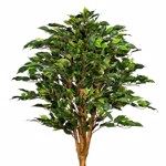 Ficus artificial Benjamina cu trunchi natural UV - 150 cm