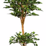 Ficus artificial Benjamina cu trunchi natural UV - 150 cm