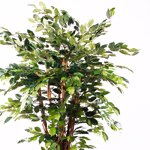 Ficus artificial Benjamina Liana Deluxe - 175 cm 