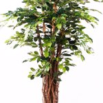 Ficus artificial Benjamina Liana Deluxe - 175 cm 