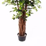 Ficus artificial Benjamina Liana Deluxe - 175 cm 