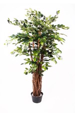 Ficus artificial Benjamina Liana Deluxe - 175 cm 